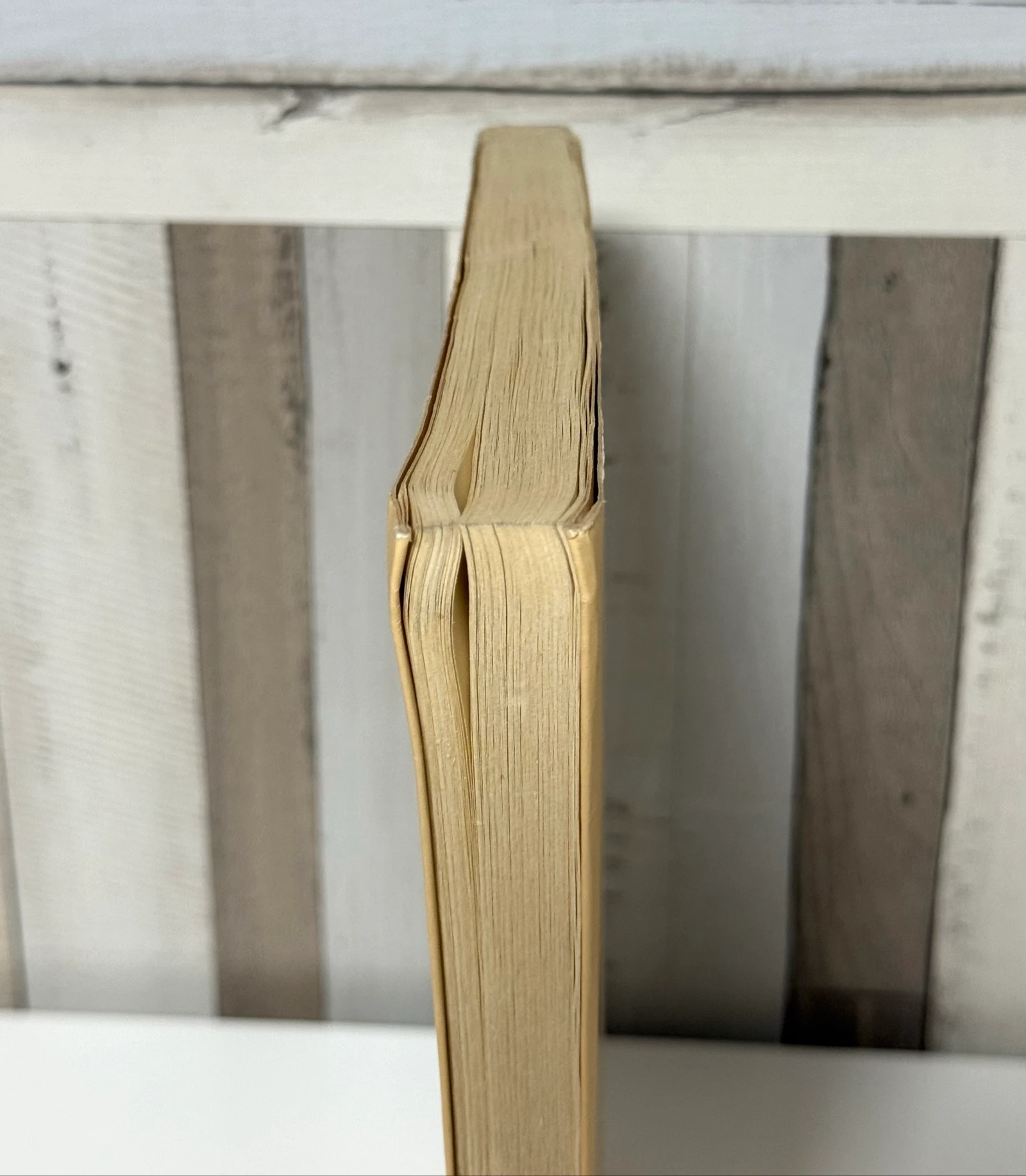 Libro El Sol de Breda – photo 8